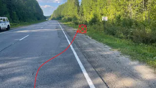 В Коми автоледи вылетела с трассы в кювет: женщина госпитализирована