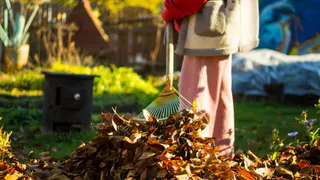 «Осенние листья — золото для огорода»: секреты приготовления компоста и гумуса на весну