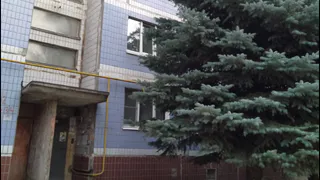 "Подходить к подъездам из-за темноты страшно" - рязанец жалуется на вымахавшие у дома ели