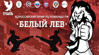 Суздаль примет масштабный турнир по тхэквондо с участниками со всей России