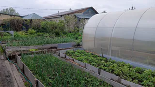 Как оценить, есть ли клещи в вашем дворе и на даче: гениальный лайфхак уральского ученого