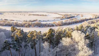 Виталий Артемов рассказал, чем будет заниматься префектура в Солотче