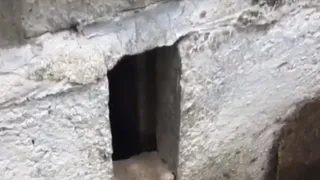 Потоп на Старореченской: "После обращения в Pro Город у нас откачали воду"