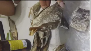 Рязанцы купили щуку кишащую личинками