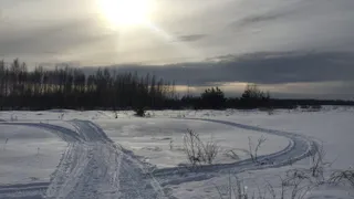 Дрожим от холода: как рязанцы реагируют на резкую смену погоды