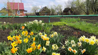 С марта 2024 вводится строжайший запрет: новое правило коснется всех, у кого есть дача и огород