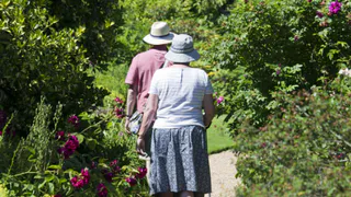 «С 4 сентября станет бесплатно для всех пенсионеров». Новая льгота вводится