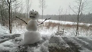 Погода в России резко испортится: в эти выходные нас ждут метели, ледяные дожди и усиление ветра - прогноз по регионам