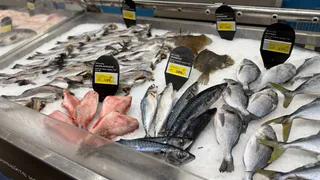 В Роскачестве назвали самую недооцененную рыбу: недорогая и полезнее, чем красная - закупайте на праздники