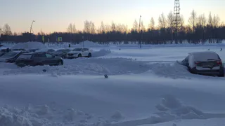 «С начала зимы ни разу не заезжал трактор»