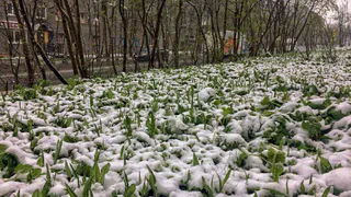 "На нас надвигается волна аномального холода": погода с 1 сентября заставит достать куртки, температура упадет вниз