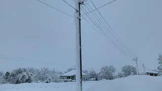 «Работают в усиленном режиме — а люди буксуют»: рязанцы усомнились в отчётах о борьбе с непогодой