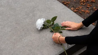 В регионе могут упростить оформление похорон через портал «Госуслуги»