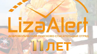 Поисково-спасательный отряд «ЛизаАлерт» отметил 11-летие