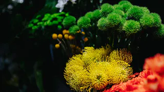 Искусственные цветы к Радонице: новые предложения на рынке