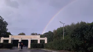 Рабочие повредили кабель: освещение в ЦПКиО восстановят в конце недели