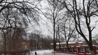 В Рязанской области ожидаются ночные заморозки до -5 градусов Цельсия 20 ноября