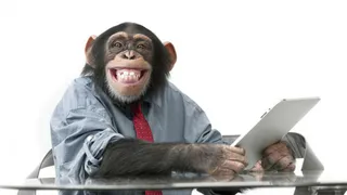 Брянских работников пера сравнили с обезьянами