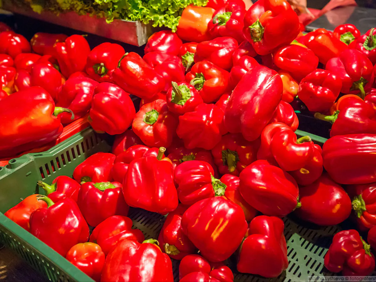 В середине июля перцы только этого хотят: 3 ложки в воду — и завязи крепкие, а плоды растут без остановки — до 10 кг