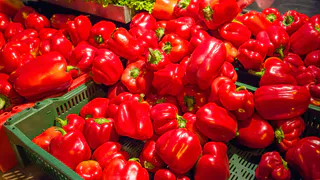 В середине июля перцы только этого хотят: 3 ложки в воду — и завязи крепкие, а плоды растут без остановки — до 10 кг