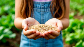 Раскидала 1 пачку копеечной крупы по грядкам и земля как чернозем - дорогой навоз больше не использую