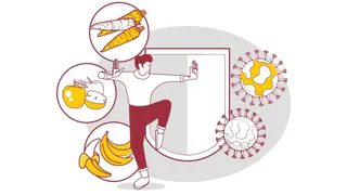 Во Всемирный день иммунитета владимирцам рассказали о залогах его укрепления