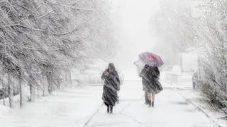 Мэрия Рязани оповестила горожан об аномальном снегопаде