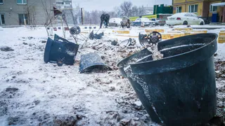 Благоустройство по-рязански: разнорабочие высаживают розы в замёрзшую землю. Что об этому думает эксперт по декоративному садоводству