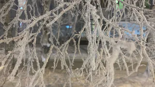 17 января принесет в Коми погожий зимний день с приятными -12°C и легким снегом