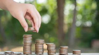 Владимирская область получила 3,7 млн рублей на повышение зарплат лесников