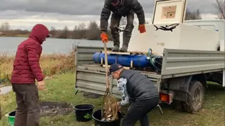 Рыбаки наоборот: в Рязани выпустили  в водоемы две тонны мальков
