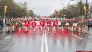 Шествие «Бессмертный полк» в 2024 году отменят в целях безопасности