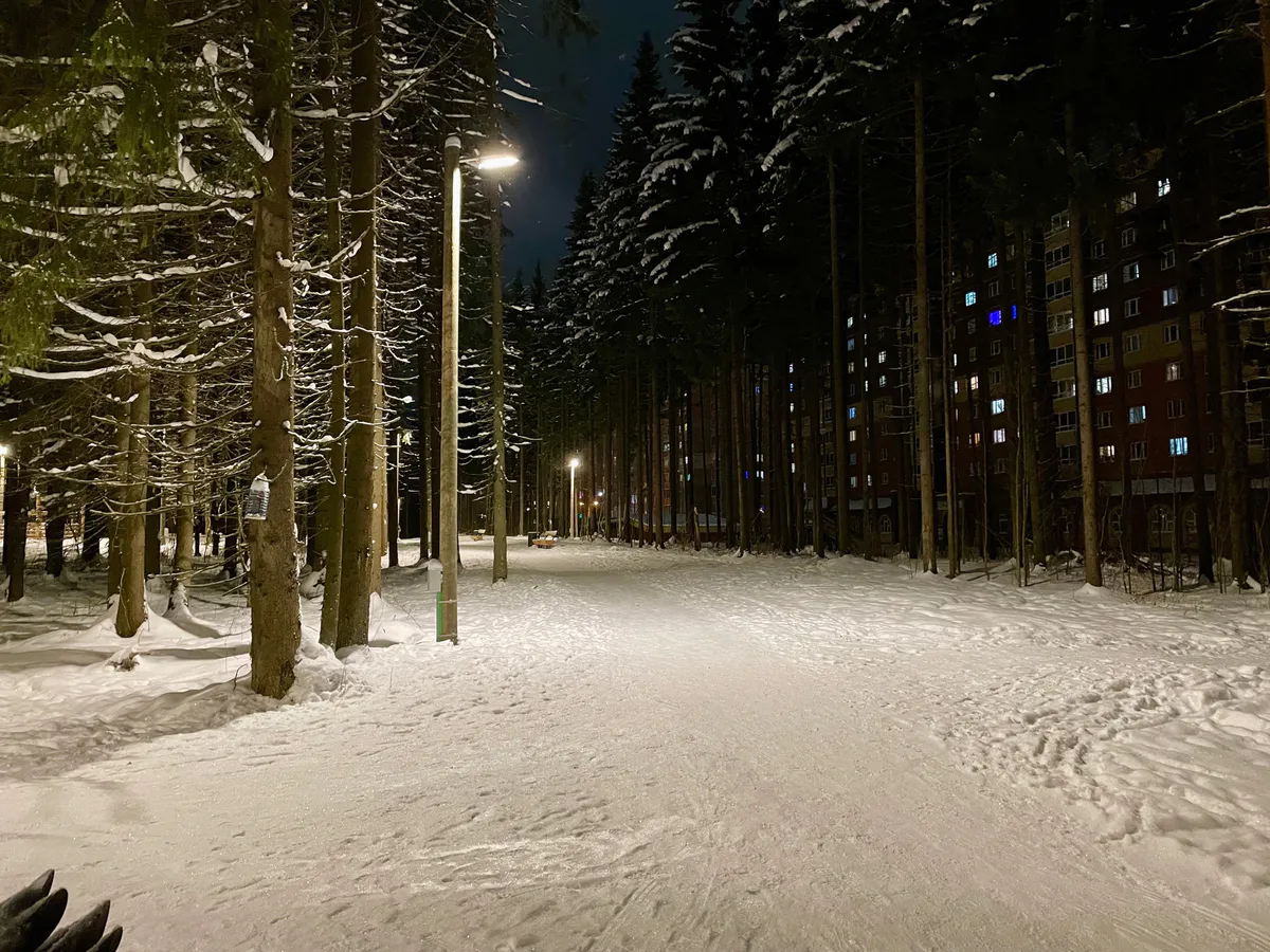 Спасатели заступили на круглосуточное дежурство в парках Челябинской области