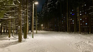 Спасатели заступили на круглосуточное дежурство в парках Челябинской области