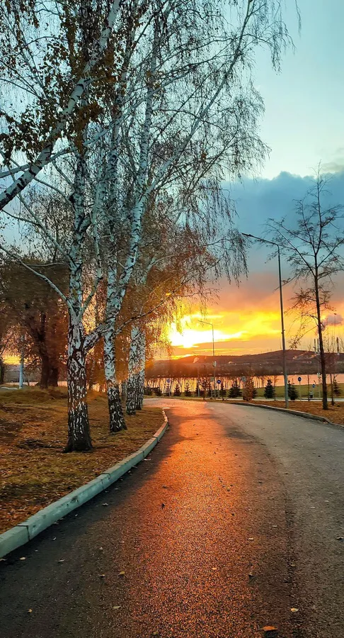 Синоптики Челябинской области поделились прогнозом на ноябрь