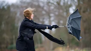 Ураганный ветер обрушился на Брянскую область