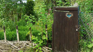 Эффективная чистка дачного туалета: полезный совет от ассенизатора