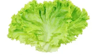 Листья салата нужно замачивать в воде