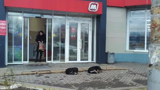 В «Магните» на Островского подрались клиенты