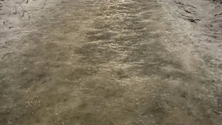 Госжилинспекция ответила на жалобы рязанцев о недостаточной обработке дорог