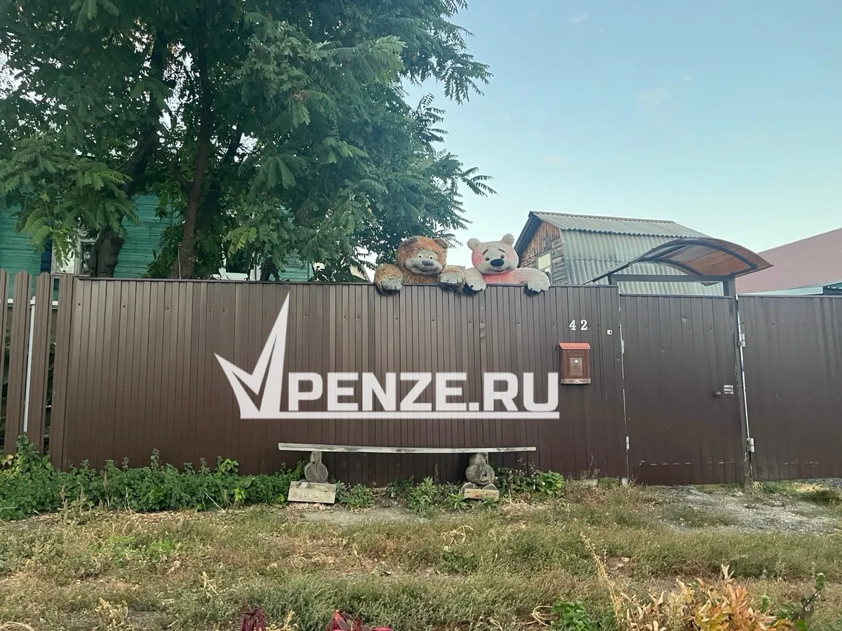 «Кладбища мягких игрушек»: кто и зачем так украшает пензенские дворы — и почему это тревожный сигнал, а не милый жест