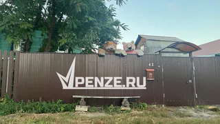 «Кладбища мягких игрушек»: кто и зачем так украшает пензенские дворы — и почему это тревожный сигнал, а не милый жест
