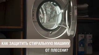 Владимирские эксперты рассказали, как защитить от плесени стиральную машину и одежду