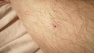 Снайпер: в полиции прокомментировали сообщение о неизвестном стрелке в Кальном