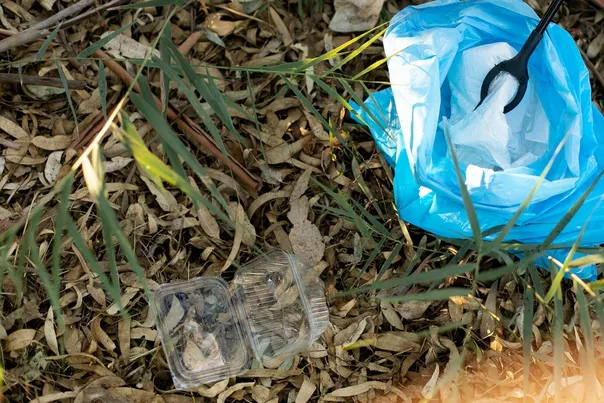 Магнитогорск продолжает борьбу за чистоту и подводит итоги двухнедельной уборки города