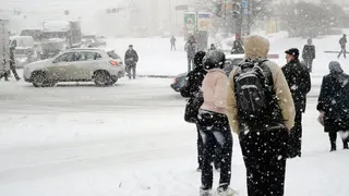 Синоптики спрогнозировали потепление в Коми