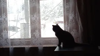 В Челябинской области 23 декабря ожидаются метели