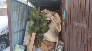 ООО «Биотехнологии» все-таки оштрафуют за зимний мусорный коллапс