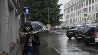 Северный ветер и кратковременные дожди спрогнозировали синоптики в Чувашии на 8 августа