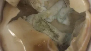 Рязанка купила тухлый йогурт со свежей датой выпуска